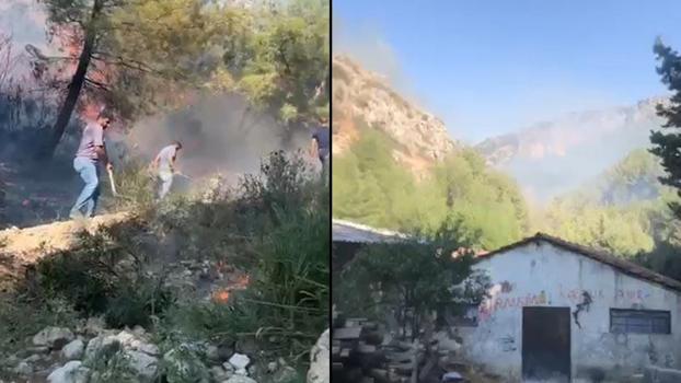 Hatay'da orman yangını