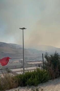 Hatay'da orman yangını