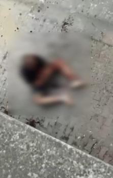 Zeytinburnu'nda sokakta alkol alan grup arasında çıkan kavgada 1 kişi yaralandı