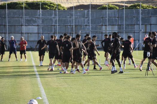 Sivasspor Teknik Direktörü İsmet Taşdemir: Üstüne katarak devam edeceğiz