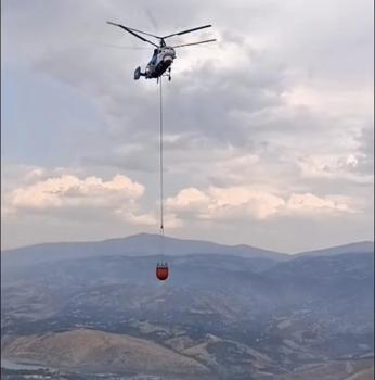 Malatya'da orman yangını (2)
