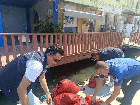 İzmir’de yasa dışı yollarla avlanılan 560 kilo kara midyeye el konuldu