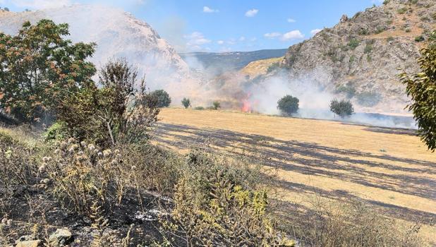 Tokat'ta ot yangını, büyümeden söndürüldü