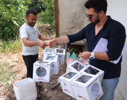 Büyükşehir’den 800 dekar araziye faydalı böcek desteği