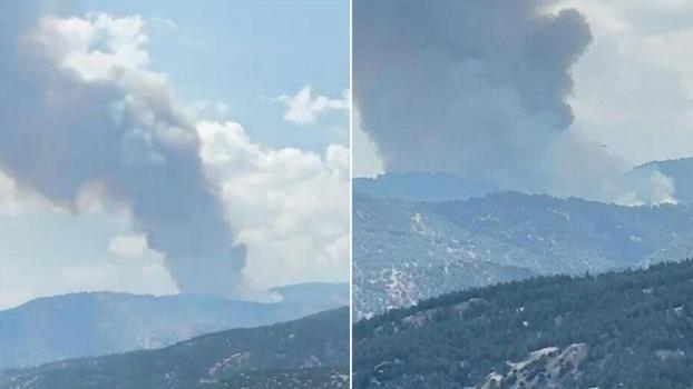 Aydın'da orman yangını