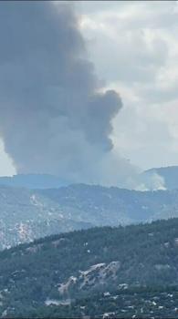Aydın'da orman yangını