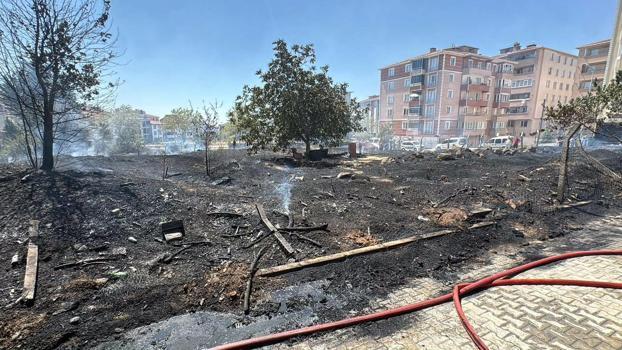 Ot yangınında alevler park halindeki araçlara sıçradı; 1 TIR yandı, 2 otomobil zarar gördü