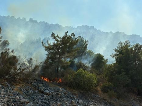 Antalya'nın 2 ilçesinde orman yangını / Ek fotoğraflar