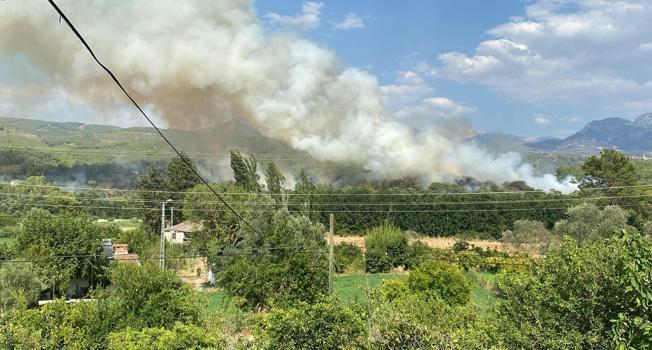 Muğla Seydikemer’de orman yangını kontrol altında
