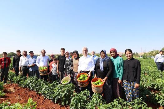 Gaziantep'te çiftçilere 53 milyondan fazla fide desteği