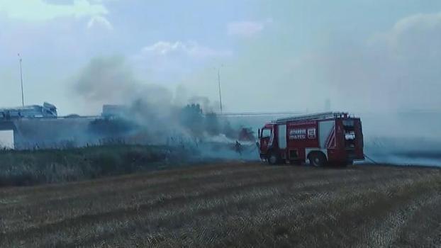 Silivri'de tarlada yangın