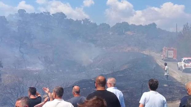 Balıkesir'de orman yangını