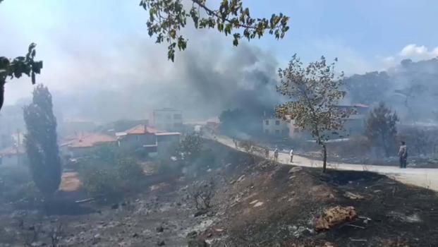 Balıkesir'de orman yangını (2)