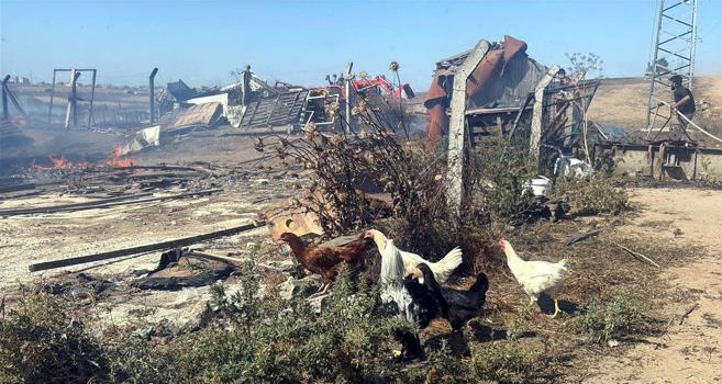 Tekirdağ'da anız yangını; 4 çiftlik evi yandı