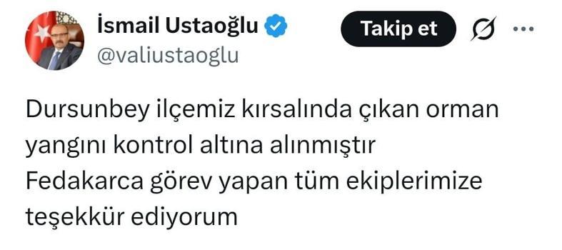 Balıkesir Dursunbey'de orman yangını (2)
