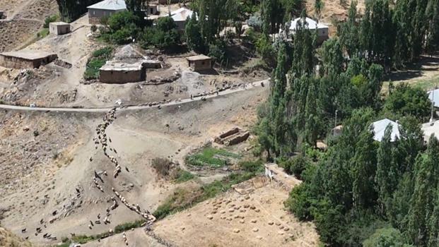 Besiciler, koyunlarını her gün 3 kilometre uzaklıktaki çeşmeye yürütmek zorunda kalıyor