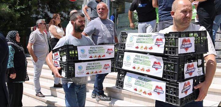 Tekirdağ Büyükşehir Belediyesi'nden kışlık sebze üretimine destek