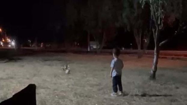 Tilki, topu alıp kaçtı; o anlar kamerada