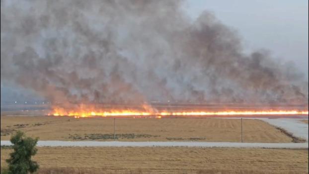 Nusaybin’de, mayınlı sınır hattında anız yangını