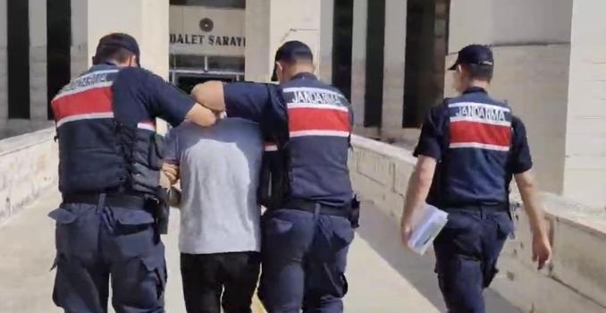 Edremit’teki orman yangına ilişkin 1 tutuklama