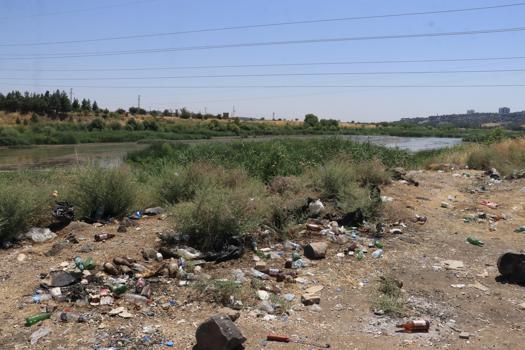 Dicle Vadisi’nde ‘piknikçi’ kirliliği: Atıklar insan ve yaban hayatını tehdit ediyor