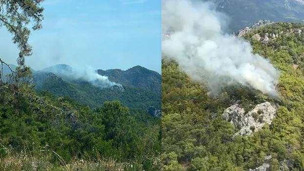 Antalya'da orman yangını