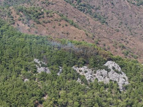 Antalya'da orman yangını (2)