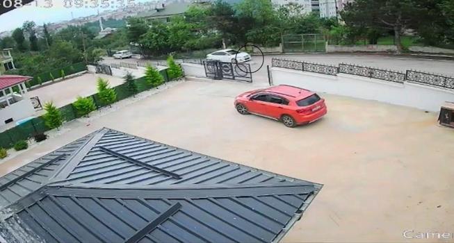 Ordu’da otomobilin çarptığı köpek öldü; 10 yaşındaki kız bayıldı