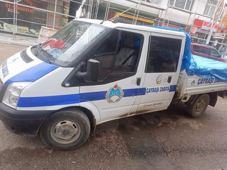 Ordu’da sokak hayvanlarını Akkuş ilçesine bırakan 3 kişi yakalandı