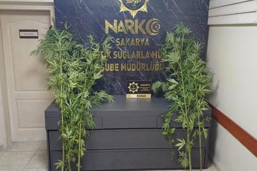 Sakarya’da uyuşturucu operasyonu; 1 tutuklama