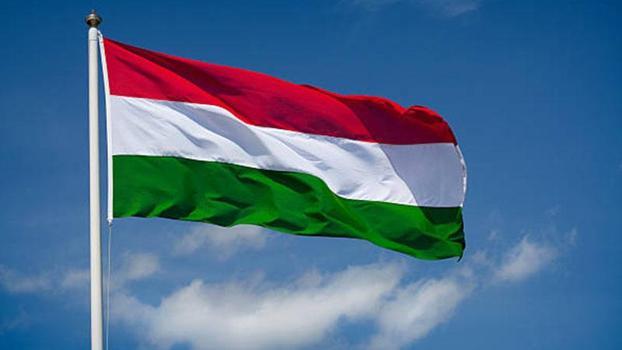 Macaristan'da yolcu otobüsü devrildi: 12 ölü, 10 yaralı