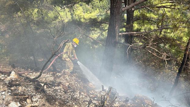 Alanya'da ormanda çıkan yangın büyümeden söndürüldü