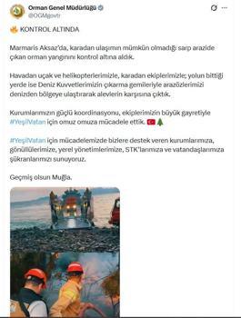 Muğla'da orman yangını ikinci gününde (2)