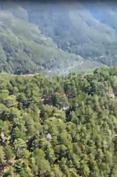 Balıkesir'de orman yangını (2)