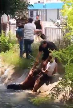 Sulama kanalında boğulma tehlikesi geçiren çocuğu çevredekiler kurtardı
