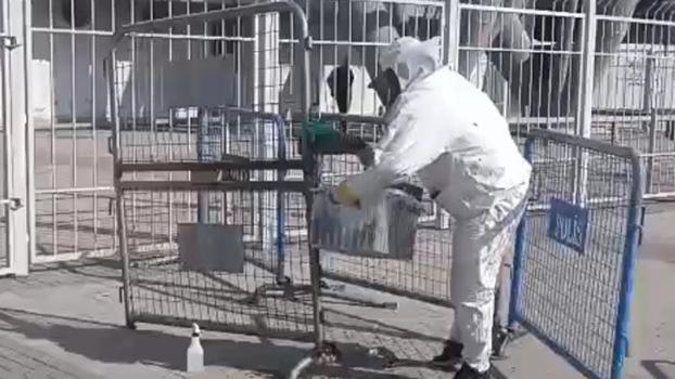 Kayseri'de stadyumda maç öncesi arı sürprizi