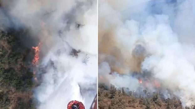 Balıkesir'de kamyondaki yangın ormana sıçradı
