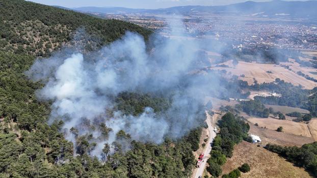 Bolu'da orman yangını