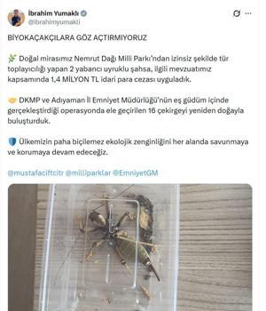 Nemrut Dağı'ndan çekirge toplayan 2 kişiye 1,4 milyon lira ceza