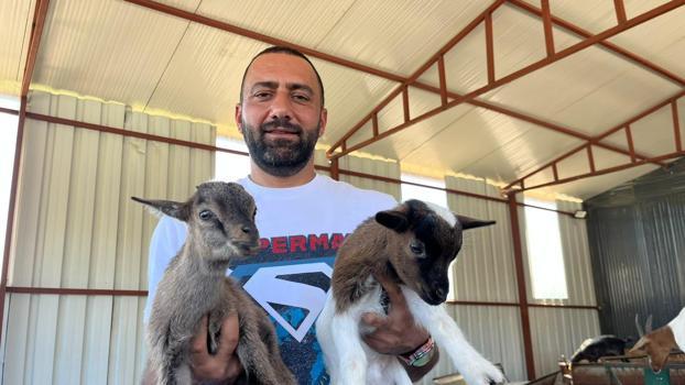 2 cüce keçiyle kurduğu çiftlikte 90 başlık sürüye ulaştı
