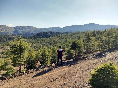 Muğla'da kıvılcım oluşturan makinelere yangın tedbiri