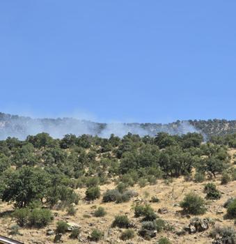 Konya'da orman yangını