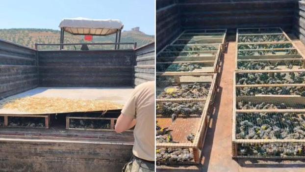 Traktörün römorkunda 2 bin 114 saka ele geçirildi; sürücüye 19,8 milyon TL ceza kesildi