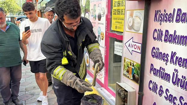Doğalgaz kutusuna giren yılanı itfaiye ekipleri çıkardı
