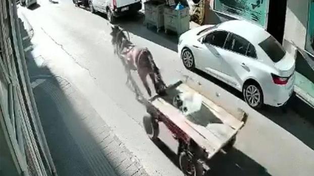 Sürücüsüz at arabası, otomobile çarptı; o anlar kamerada