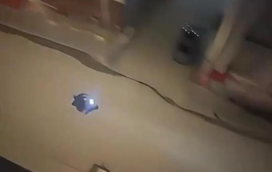 Ağrı’da çevreye rahatsızlık veren motosiklet sürücüsüne 17 bin 719 TL ceza