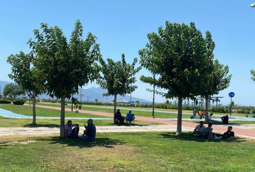 Prof. Dr. Türkeş: Önümüzdeki günlerde hava sıcaklıkları 3 ila 6 derece artacak