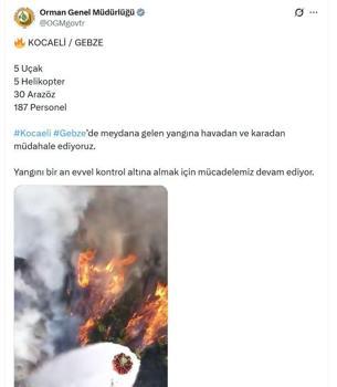 Gebze'de orman yangını (2)
