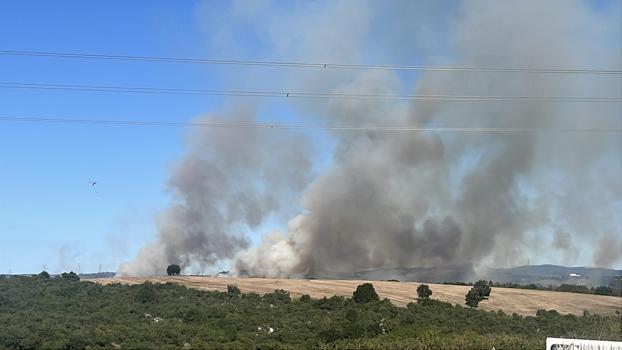 Gebze'de orman yangını (2)