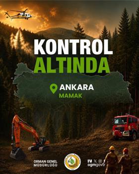 Ankara'da ağaçlık alanda yangın (3)